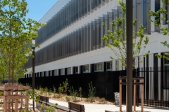 Établissement – Site du Collège Gisèle Halimi